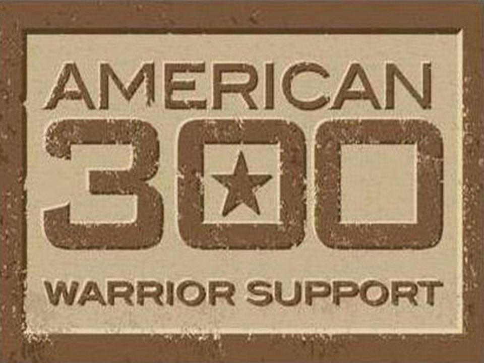 american 300-1